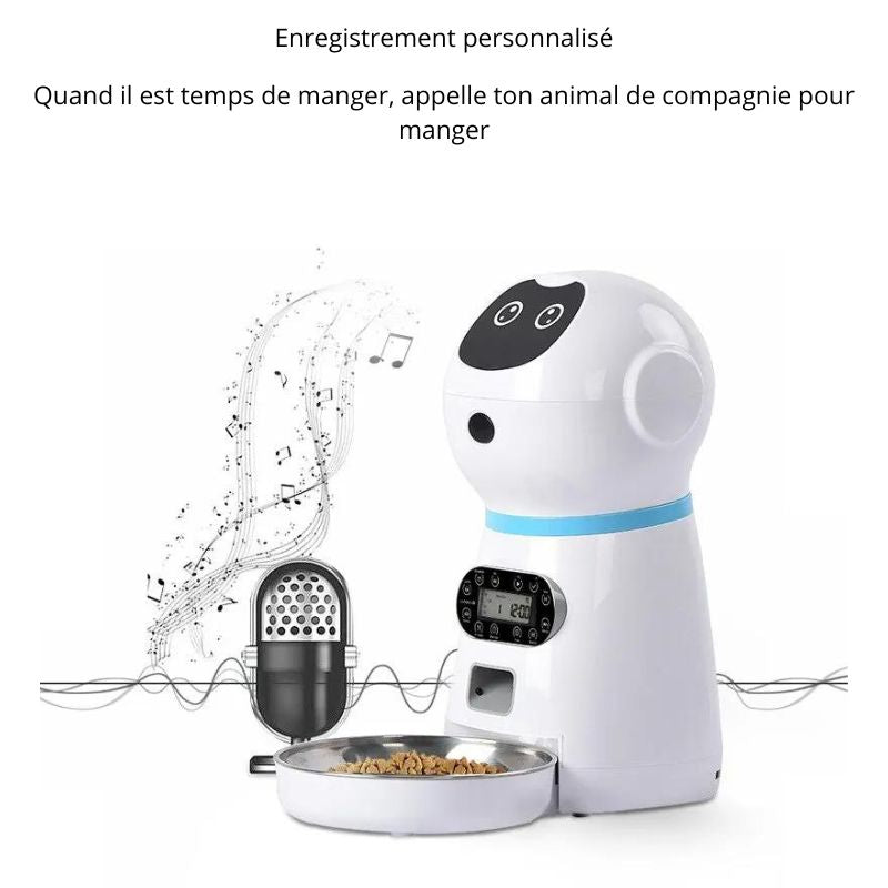 Distributeur de croquettes pour chat et chien